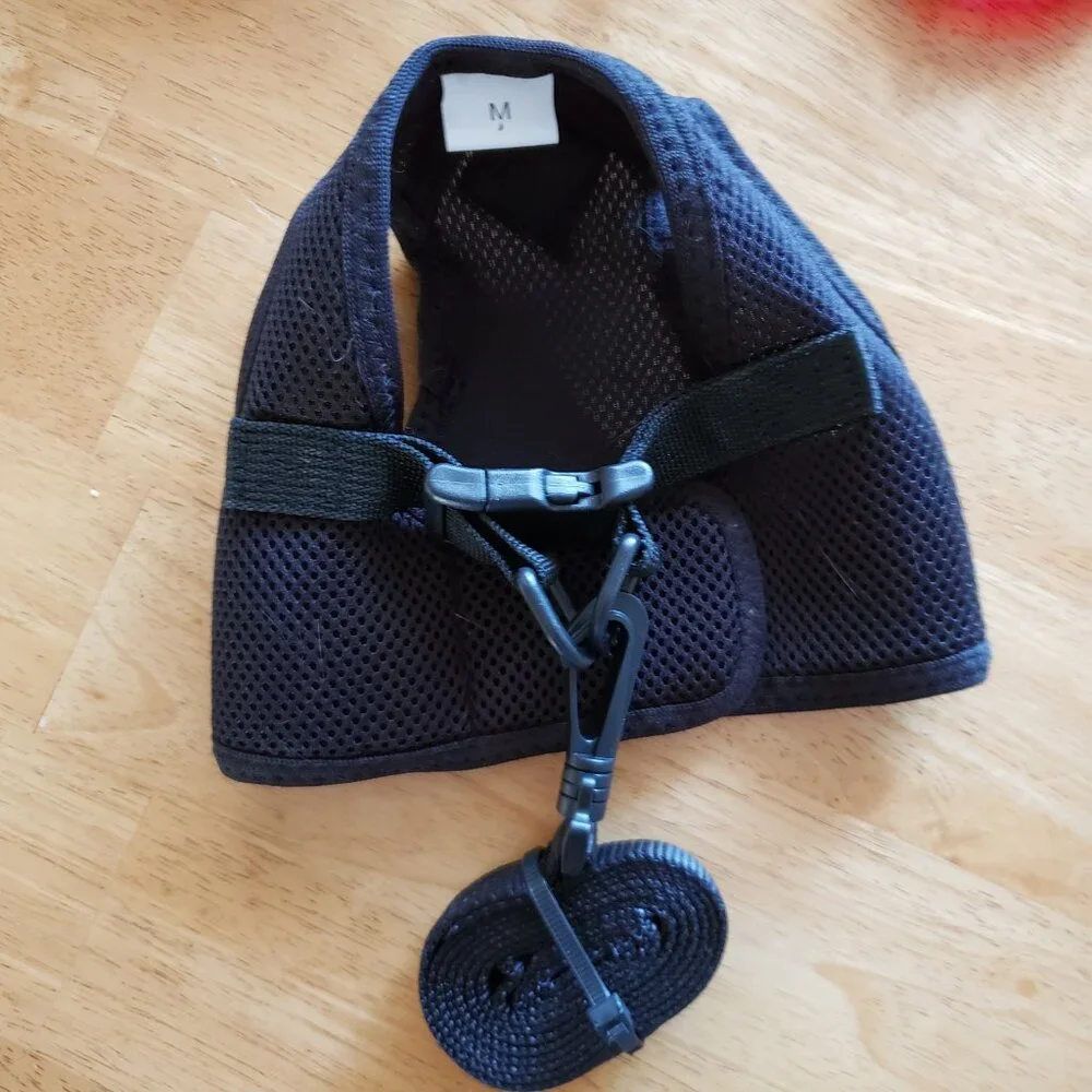NWOT- 5ft. Leash and Harness Size Med.